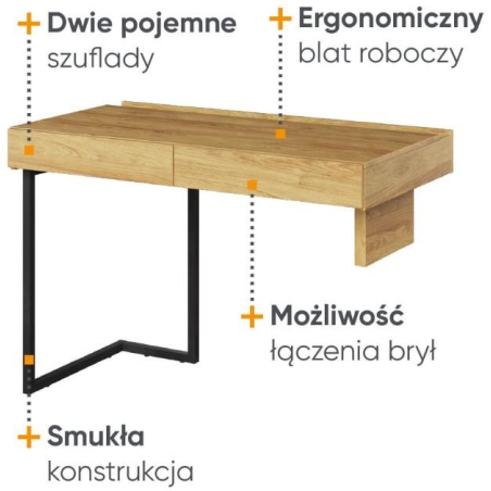 Desk 110 2S TF-06 TEEN FLEX Lenart