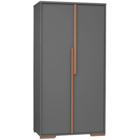 Wybarwienia Pinio Meble - Szary