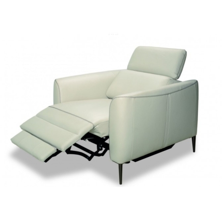 Dianthus armchair 1RPe2 Vero