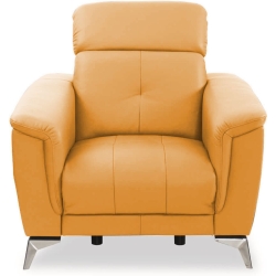 S1 skins: Leather S1 83 Kolor tapicerki: shades of yellow 