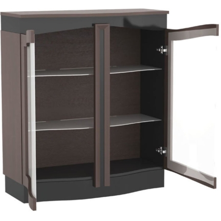 Diuna Low display cabinet 2DS with lighting Mebin