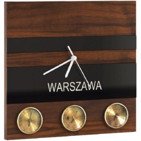 VIGO weather station Mebin